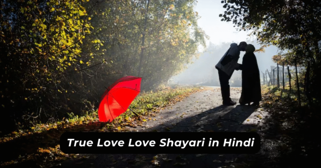 Love true love sorry shayari​