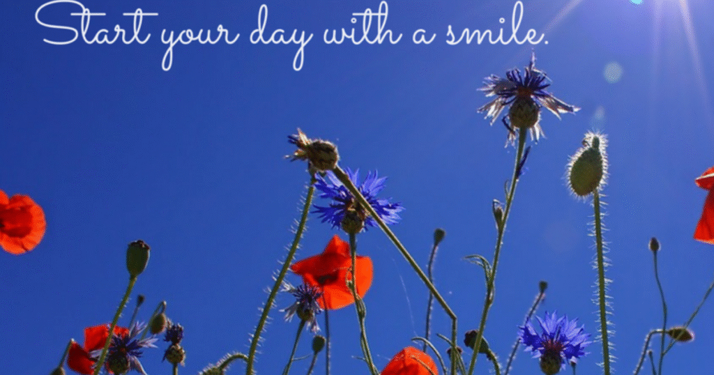 Short and Sweet Shayari on Smile in English