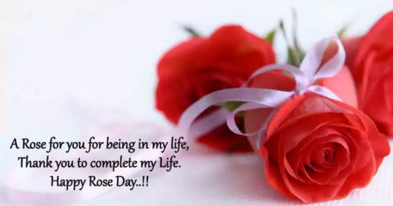 70 Powerful Rose Day Shayari to Melt Every Heart ❤️