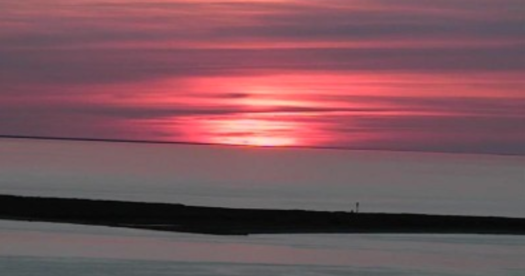 Non veg shayari for friends