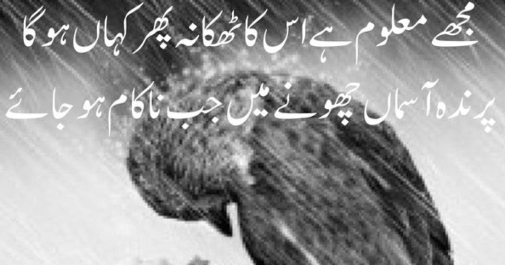 Dil Shayari In Hindi 2 Line